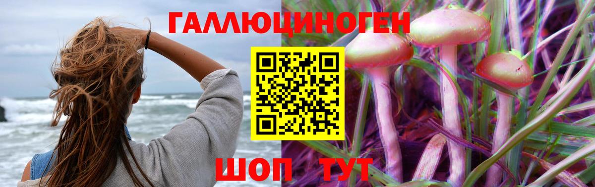 Псилоцибиновые грибы Psilocybe Чайковский